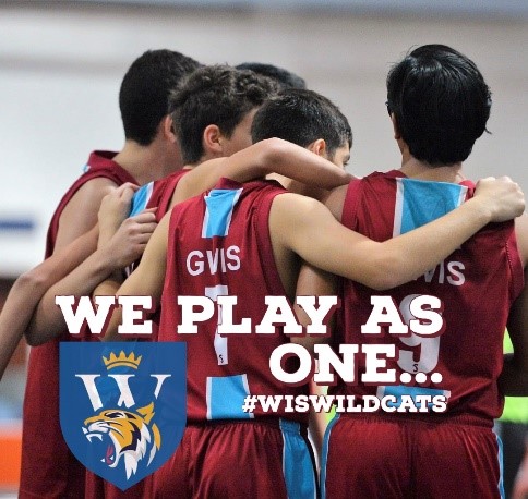 WIS Wildcats Graphic
